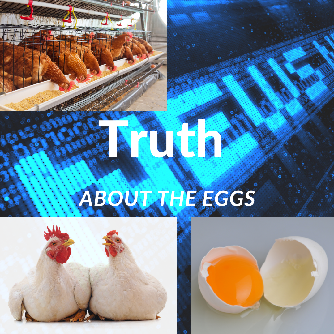 The Truth About The Eggs