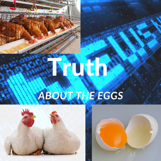 The Truth About The Eggs