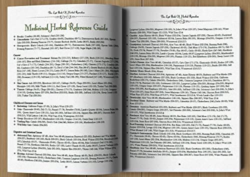 The Lost Book of Herbal Remedies